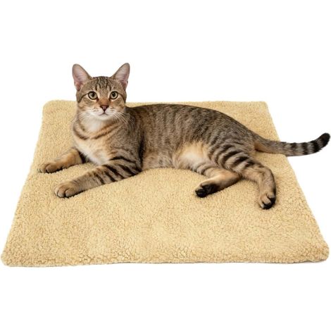 1 Coussin intérieur Laine d'agneau 60x45 cm Tapis doux Chien Chat Nid confortable