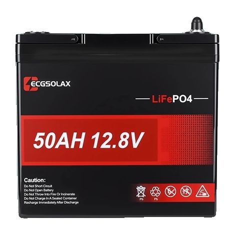 Batterie Lithium, Capacité 50Ah, BMS 100A, 12.8V 50Ah (1/5)