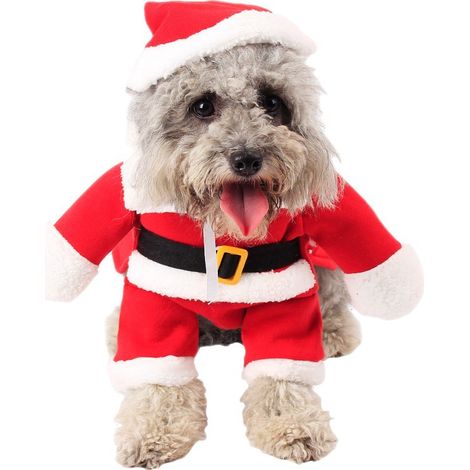 Costumes de Noël pour animaux de compagnie, jolies tenues de Noël pour chats et chiens, comprenant un bonnet de Père Noël, taille XL. (1/4)