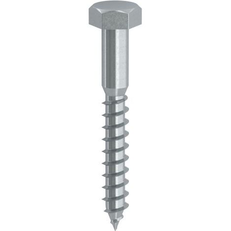 Vite 12x100mm - 50pz per legno mordente tirafondo testa esagonale te (1/6)
