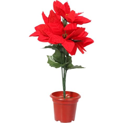 Stelle di Natale rosse in vaso - Bouquet di 5, altezza 35 cm (1/2)