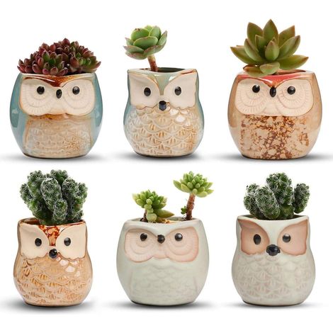 Lot de 6 Pots de Fleurs en céramique avec Chouette, pour Fleurs, Pots à bonsaï avec Un Trou Parfait (1/5)