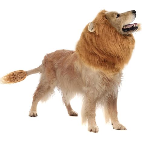 Costume de chien à crinière de lion pour chiens moyens et grands, perruque réaliste pour Halloween, taille L (1/4)