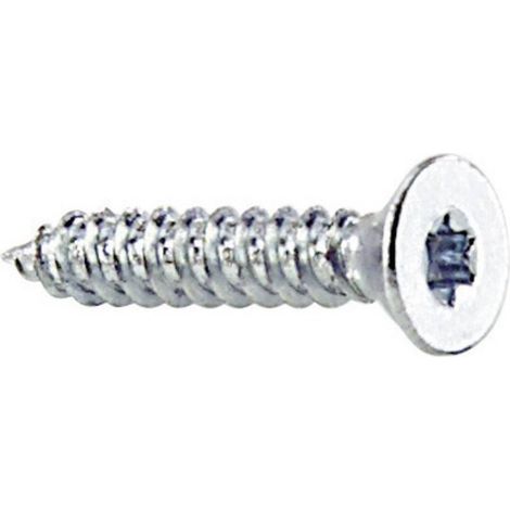 VIS À TÔLE DIN 7982 (Ø X L) 4.2 MM X 9.5 MM PROFIL EN T ACIER 100 PC(S) SONSTIGE (1/2)