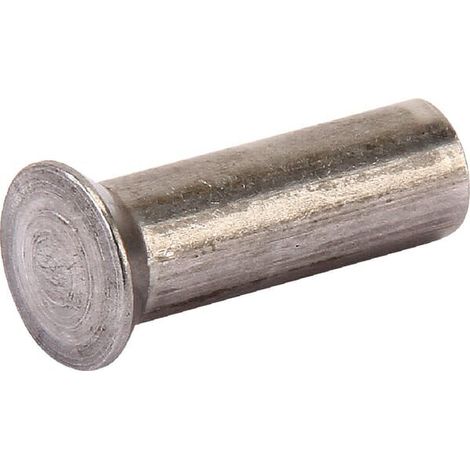 Senkkopfniet 6x18 AGRIA AGW67622