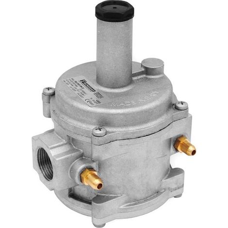 Stabilizzatore doppia membrana Mod. FRG/2MT - attacchi 1" FF 00000040033 (1/3)