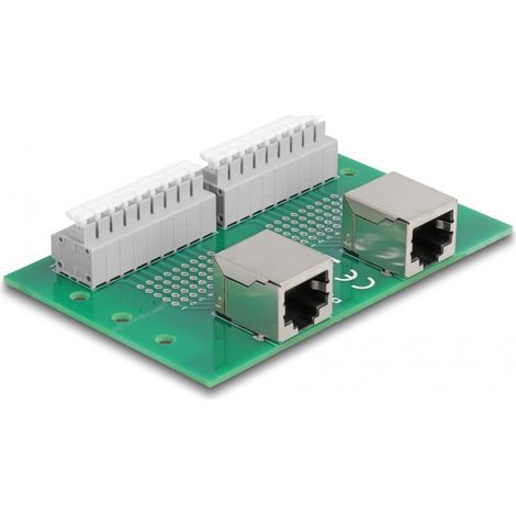 Delock RJ45 2 x hembra a 2 x bloque de terminales con pulsador para carril DIN