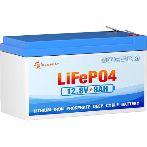Batterie LiFePO4 12V 8Ah batterie au lithium 12v avec plus de cycles profonds et protection BMS pour éclairage de secours, camping, systèmes d'énergie (1/5)