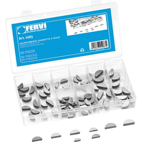 100 TLG FEDERKEILE SORTMENT SET SCHEIBENFEDER FERVI 0263
