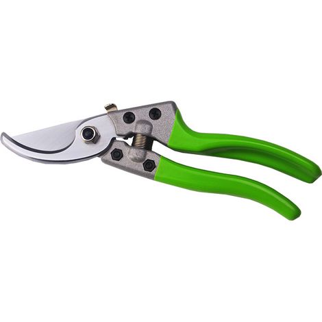 Filiyano-Cisaille à fleurs pour coupe du bois sec. Outils de jardin professionnels (1/5)