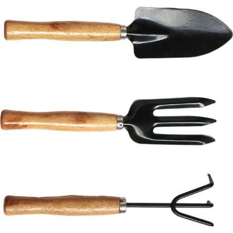 Ensemble de mini-outils de jardin, 3 mini-outils de jardinage, ensemble d'outils pour plantes de jardin, bêche (1/5)