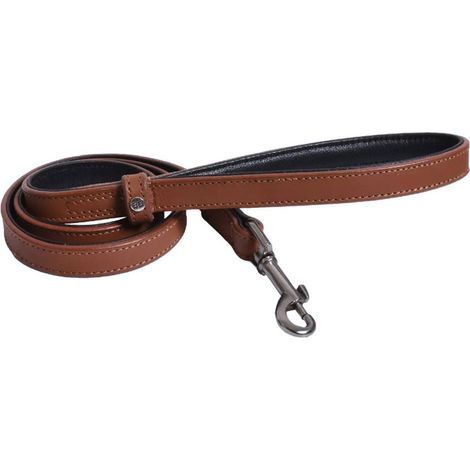 Guinzaglio aglio Bone Bronzo 120cm X 18mm: Guinzaglio in Nylon Modello Bone per Cani