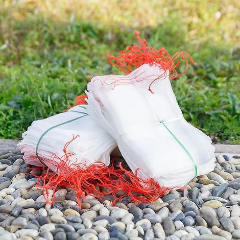 Packung mit 100 schützenden Obstnetzen mit Kordelzugverschluss zum Schutz vor Insekten und Vögeln, Gartenzubehör (15 cm x 25 cm) (1/5)
