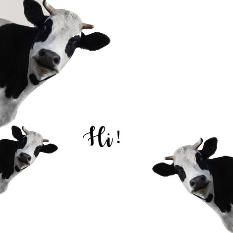 Stickers muraux/fenêtres Vache Rigolote - Motif Vache Réaliste - Décoration Ferme pour Chambre/Salon (1/5)
