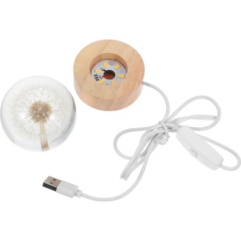 Lampe Boule de Cristal Gravée Pissenlit avec Veilleuse LED (1/5)