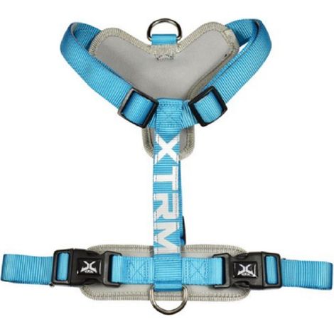 ARNES X-TRM CRONOS NEON FLASHBLAU 20 mm x 46-75 cm