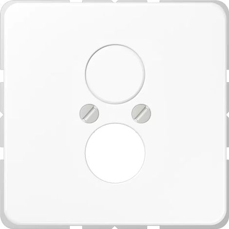 Jung Abdeckung aws für 2 Kleinst.Dosen CD 562 WW (1/2)