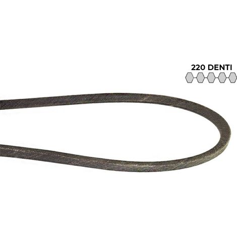 Cinghia a doppia dentatura in kevlar DS8M lunghezza 1760mm 220 denti