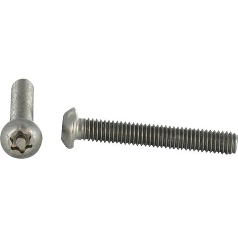 Vis métaux Inox A2 Inviolable Tête bombée TORX T25 avec téton M5X10-30 pièces (1/4)