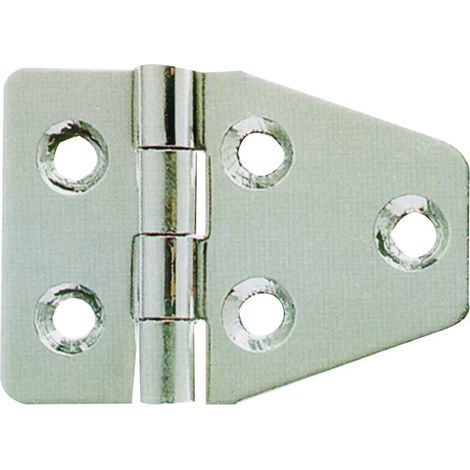 Penture Aldeghi marine hinge Edelstahl 55x40 mm korrosionsbeständig