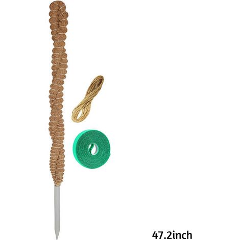 Tuteur en mousse pour plantes d'intérieur, tige de support résistante à l'usure pour plantes grimpantes, 120 cm (47,2 pouces). (1/5)