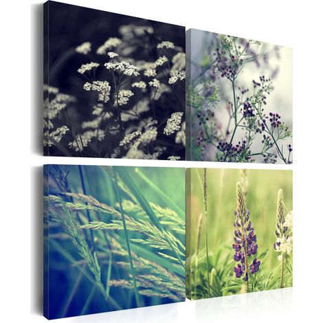 Quadro - Campo magico - 40x40 (1/4)