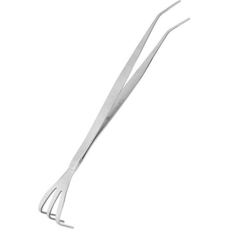 Brucelles Bonsaï en acier inoxydable 2 en 1 avec raclette, outil de culture du sol avec manche ergonomique, en acier inoxydable de haute qualité, pour passionnés de bonsaï et débutants