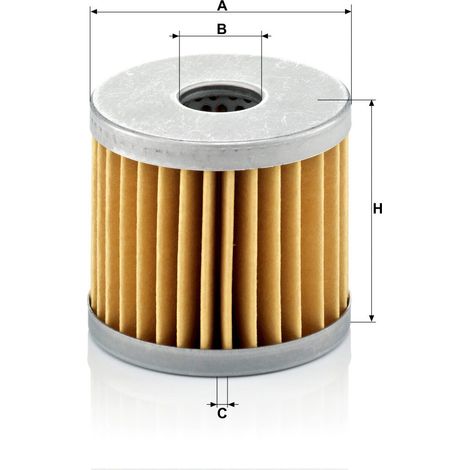 Filtre à air Mann Filter C66/1