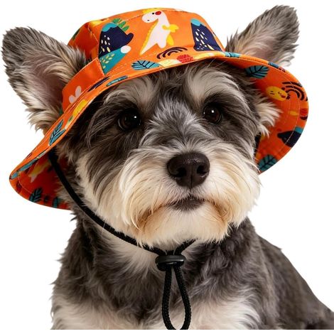 Chapeau de pour Chien Accessoires de Plein air pour Chien Protection Grand Chapeau de pour Chat Extérieur Promenade Camping Plage Route Vacances Estivales (1/5)