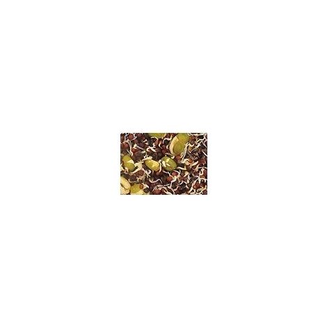 Prestige Germination Seeds Canaries 20 kg (1/2)