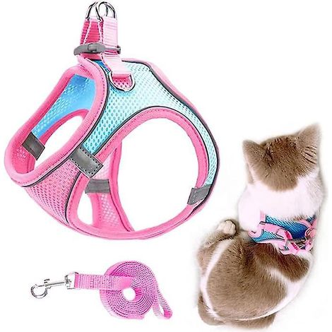 (bloc De Couleur Bleu Rose) Harnais Et Laisse Pour Chien En Maille Respirante Avec Sangle Rflchissante Pour Chatons, Chiots, Lapins (1/4)