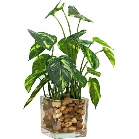 1 Plante artificielle trèfle, pot en verre transparent, remplissage pierre, décoration intérieur bureau maison (1/5)