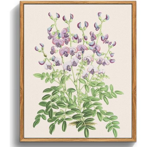 Vintage Botanische Leinwandbilder mit Holzrahmen 20x25cm Wohnzimmer Büro Deko (1/5)