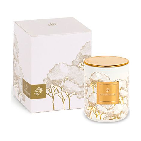 Cupido&Co. Candela Intrecci Avorio con Scatola Regalo – Bomboniera Elegante D 6 x H 8 cm (1/2)