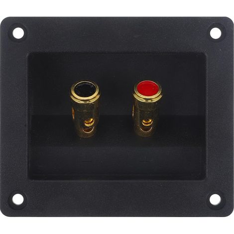 Connecteur de Borne Double Accessoire de Mise à Niveau Système Plaque en Plastique et Fer Connexion Rapide 2 Voies pour Haut-Parleur Voiture pour Boîtier de Haut-Parleur (1/5)