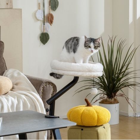 Letto per gatto da scrivania 35x35x48 cm, poliestere crema, salvaspazio FloraGrace (1/5)