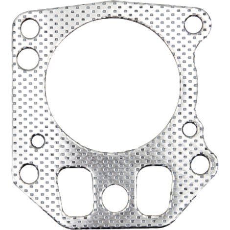 Guarnizione della testata del cilindro BRIGGS STRATTON 697230
