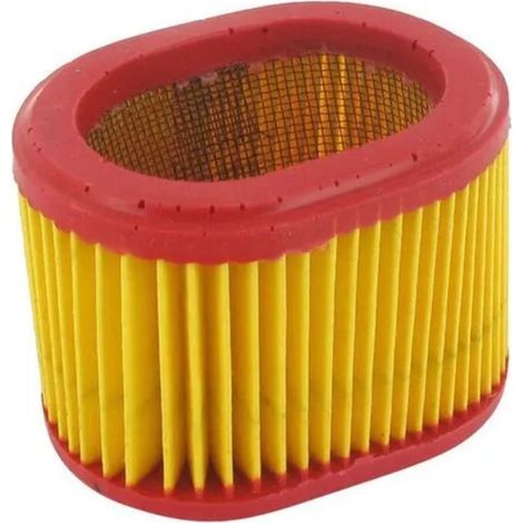 Filtro Aire compatible con B&S 790166, 698867  Ref 300281