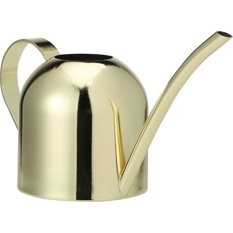 Gießkanne aus Edelstahl, 450 ml, Metall-Pflanzengießtopf mit langem Ausguss für Hausgarten, Blumen, Gold (1/5)