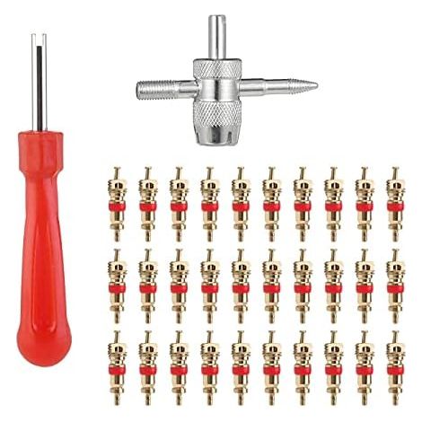 Demonte Valve Pneu Outil,32 PCS Réparation de Voiture Outil Voies avec 30 Obus des Pneus pour Vélo Automatique - (1/5)