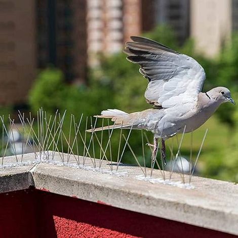 12 couleurs : argent + transparent matériau : plastique + acier inoxydable 12 pièces de protection pour clôture anti-oiseaux/pics anti-oiseaux. (1/5)