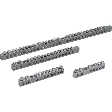 Spacial S3D - réglette de terre 2x16+29x6mm² (NSYRBL216296M) (1/2)