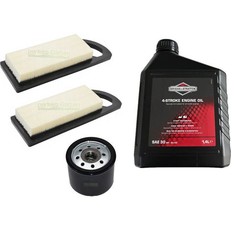 Filtre à huile + filtre à air + huile SAE30 pour Briggs & Stratton B&S 492932 695547 100006E (1/5)