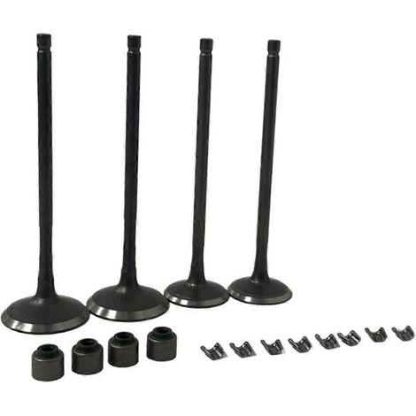 Kit de tiges d'admission et de soupapes d'échappement pour moteur 200NS (1/5)