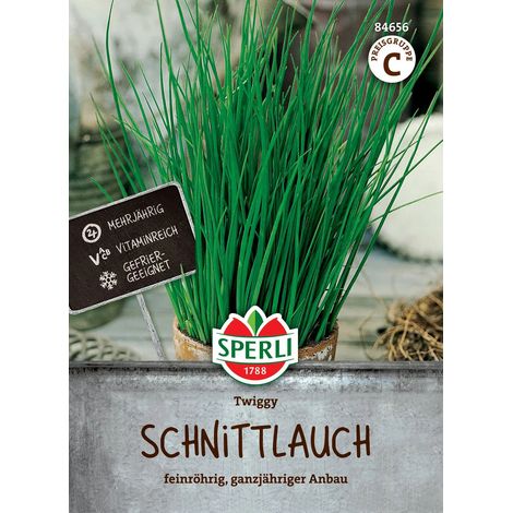 Sperli Schnittlauch Twiggy - Kräutersamen (1/2)