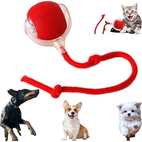 Giocattolo per animali domestici - Palla rotolante interattiva intelligente - 1 pezzo - Rosso (1/5)