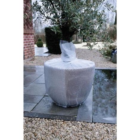 Film d'hivernage à bulles - 1m x 3m