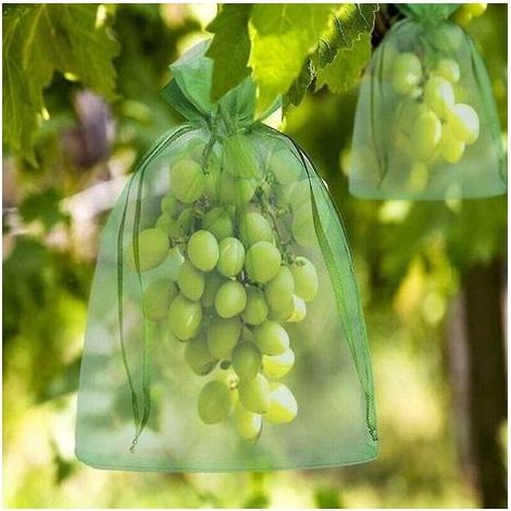 sac de protection raisins,100 pièces sac de protection de fruits,15 x 20 cm sac de protection de grappe de raisin,sac de protection pour fruits avec Cordon,Contre Les Oiseaux et Insectes Guêpes (1/3)