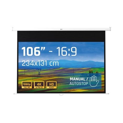 iggual Pantalla manual 16:9 106 234x131 cm