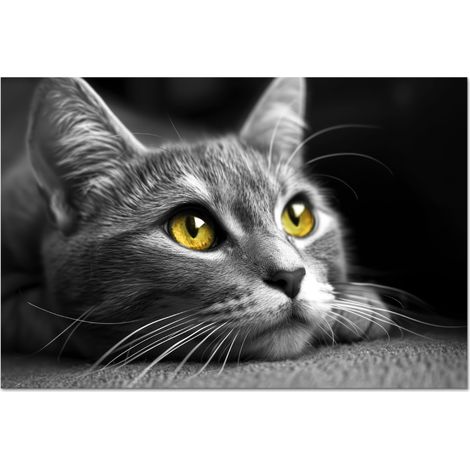 CRÉDENCE DE CUISINE Chat - Gris - Animaux - Chat 90x60 (1/5)